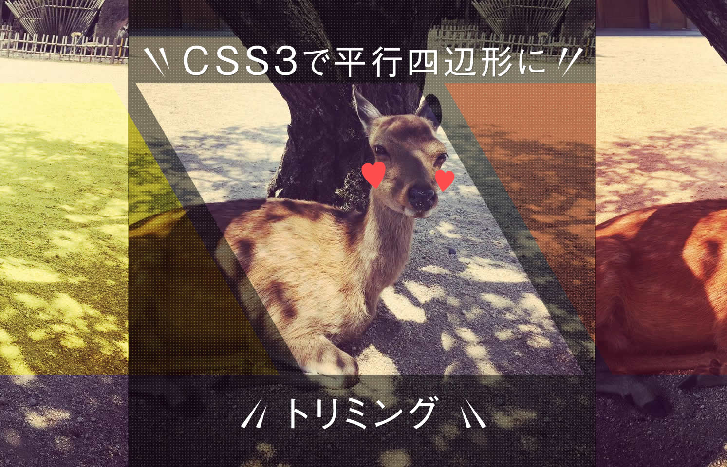 Css3のtransformで要素を斜めにしたり平行四辺形に画像をトリミング 大阪 東京のweb制作会社 株式会社クリエイティブ ウェブ